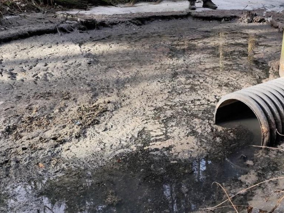 В Домодедове эконадзор выявил новые нарушения в охране озера Черное
