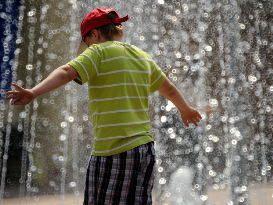 Июльская жара придет в Подмосковье на один день: температура поднимется до +27 градусов