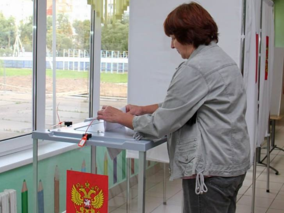 В Дмитрове 104 участка ждут избирателей: второй день выборов 13 сентября