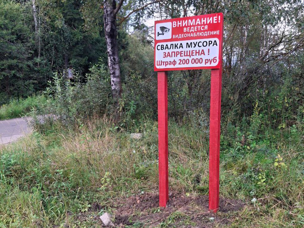 В ступинских лесах установили видеокамеры для борьбы со сбросом мусора