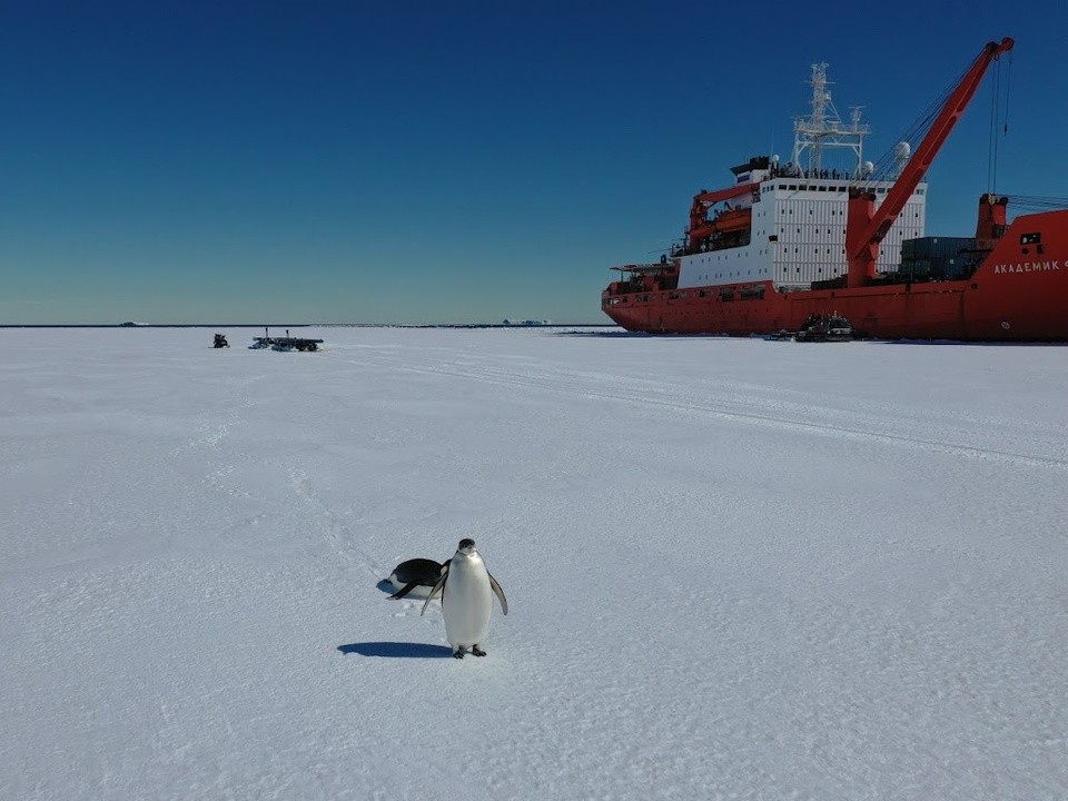 Ученый из МГУ расскажет об Антарктиде в библиотеке