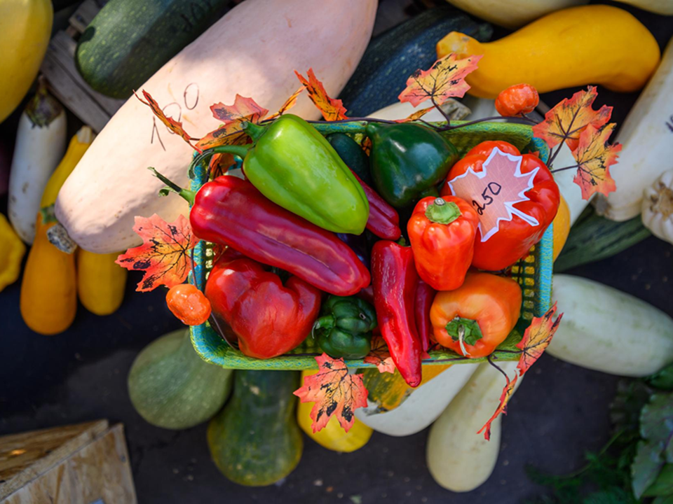 В Подмосковье откроются осенние ярмарки с фермерскими продуктами