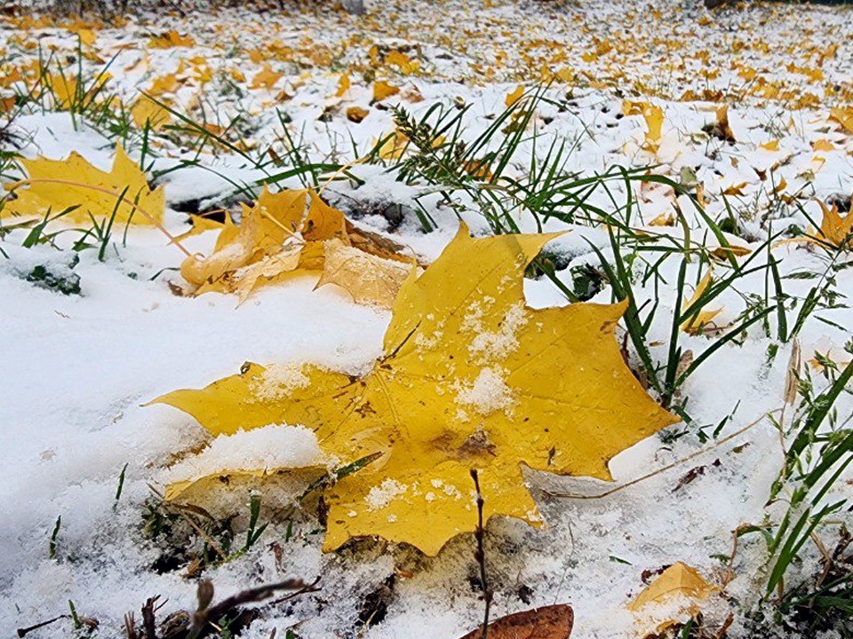 Снежный апокалипсис близко: Подмосковье готовится к первому снегу уже через две недели