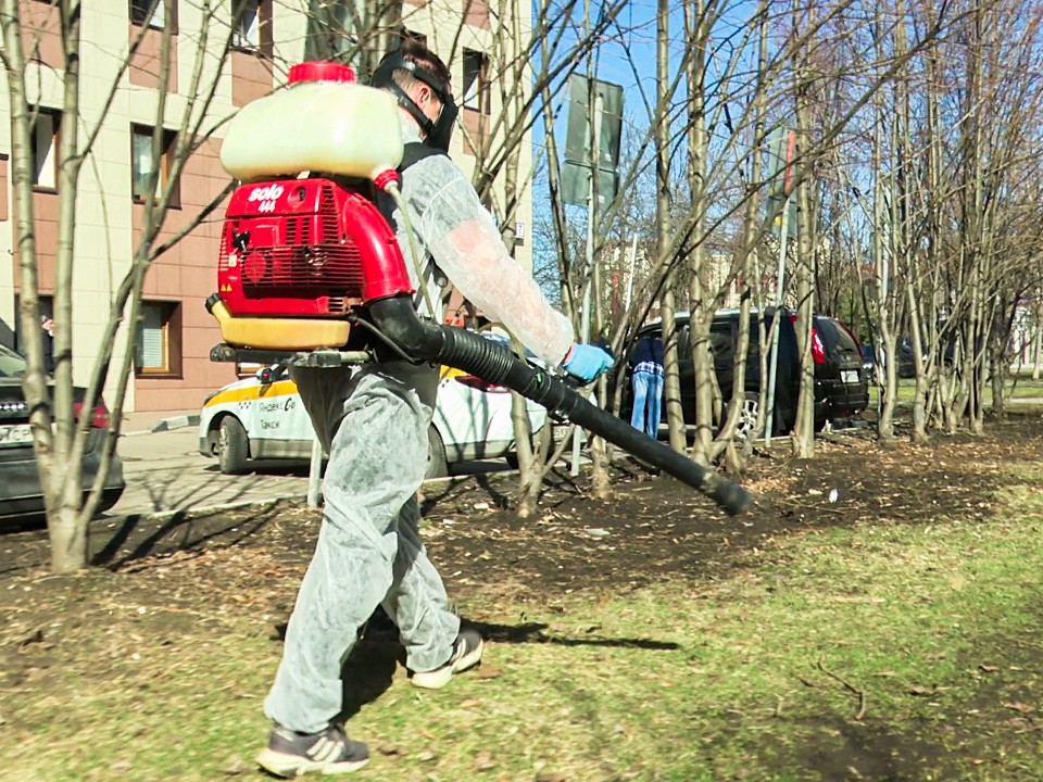 В Подмосковье активизировали обработку территорий против клещей
