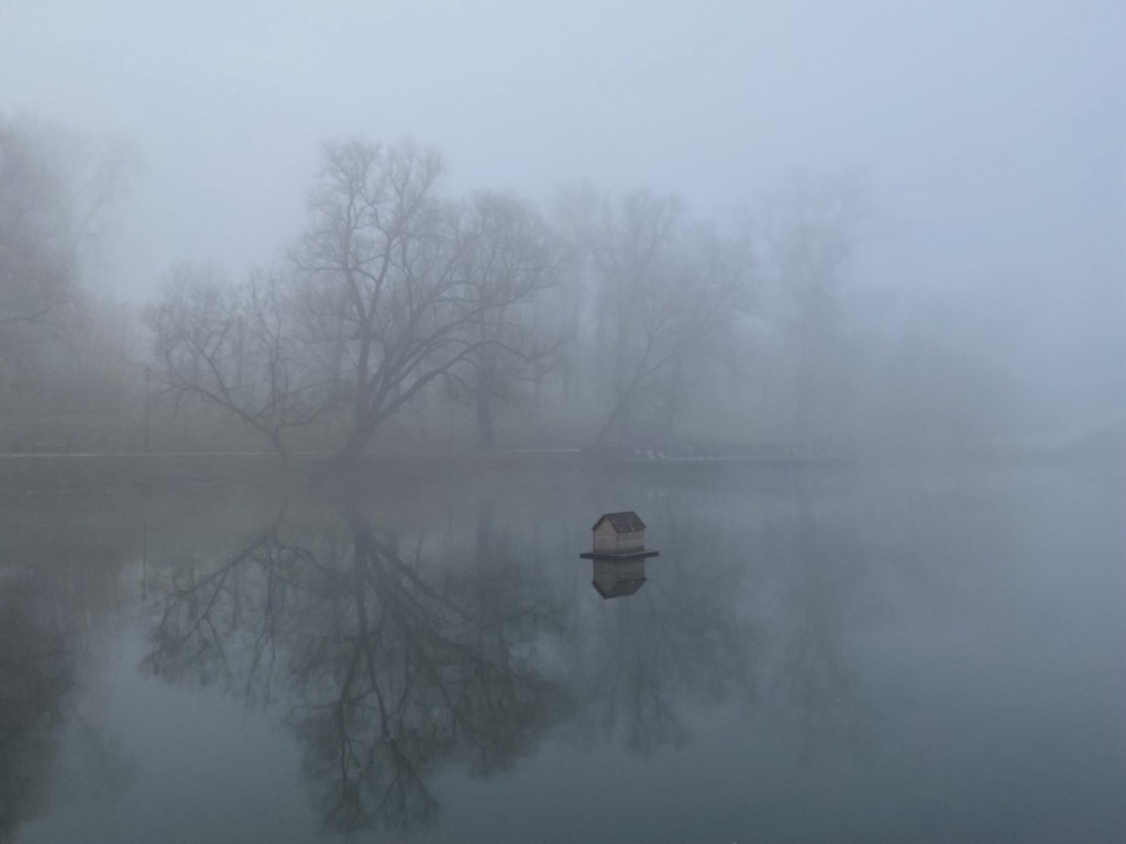 Жителей Подмосковья предупредили о туманах в ближайшие дни