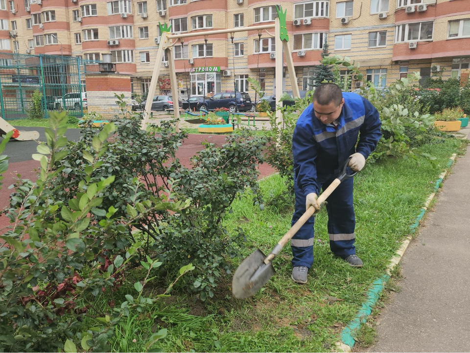 В жилом комплексе на Октябрьском проспекте провели осеннюю обрезку кустарников