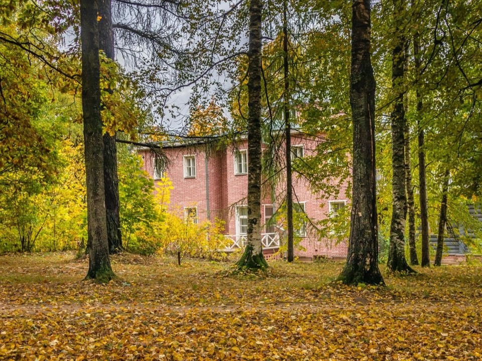 Скачки на 10 градусов, дожди и заморозки: какие сюрпризы готовит погода балашихинцам