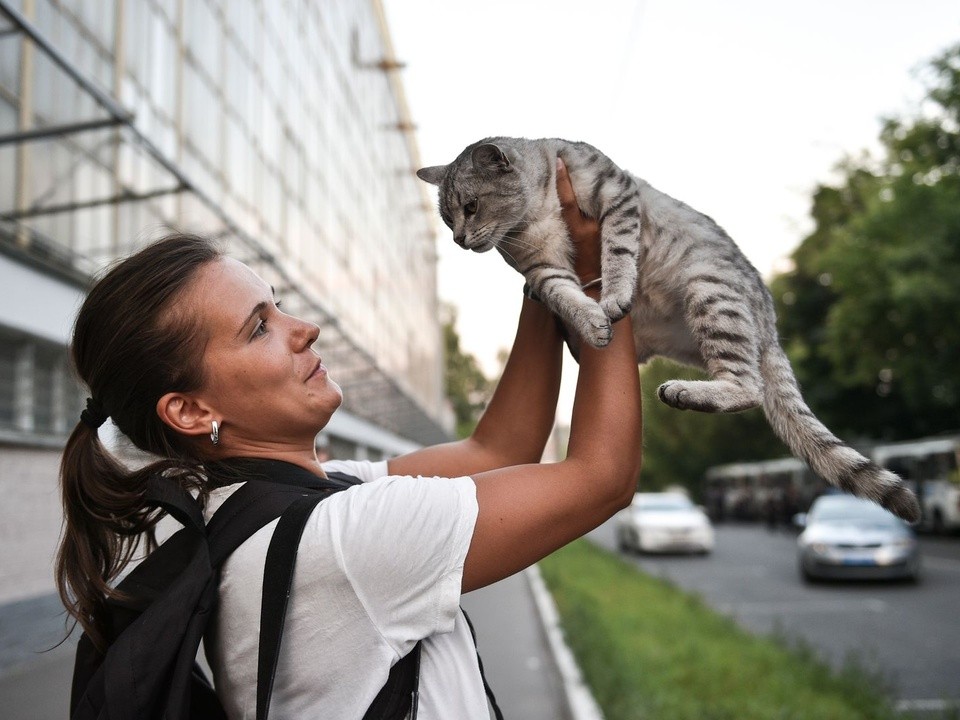 В Московском регионе ищут котоняню и капибариста с дружелюбным характером