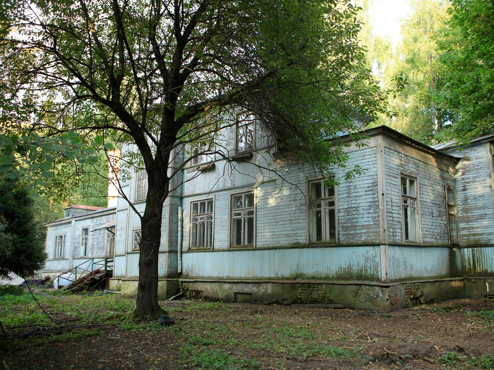 В парке «Папанинская дача» спасут от вырубки более 30 вековых сосен