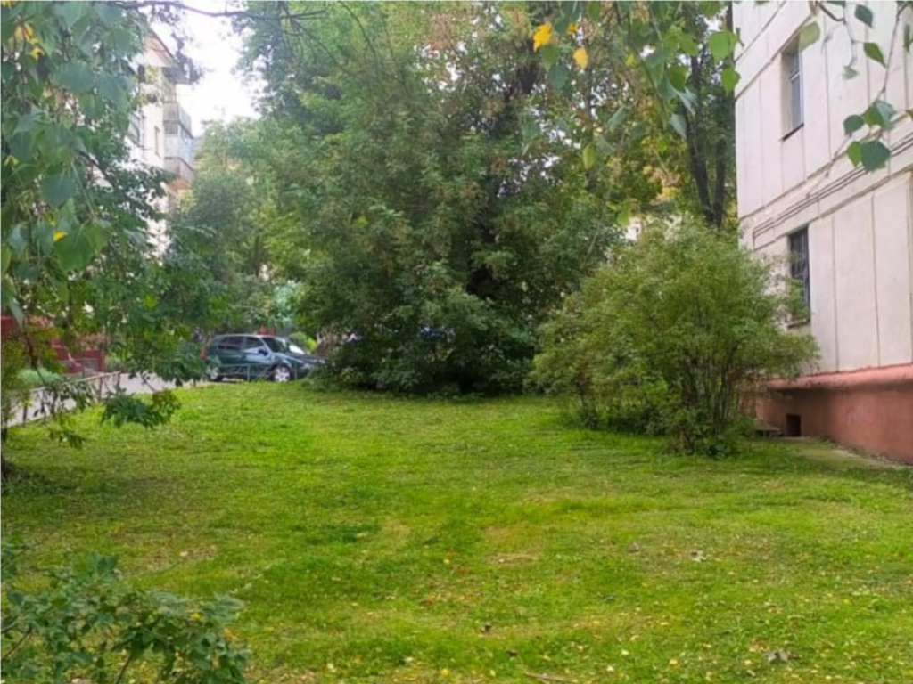 Траву окосили на улице Московской после обращения жителей