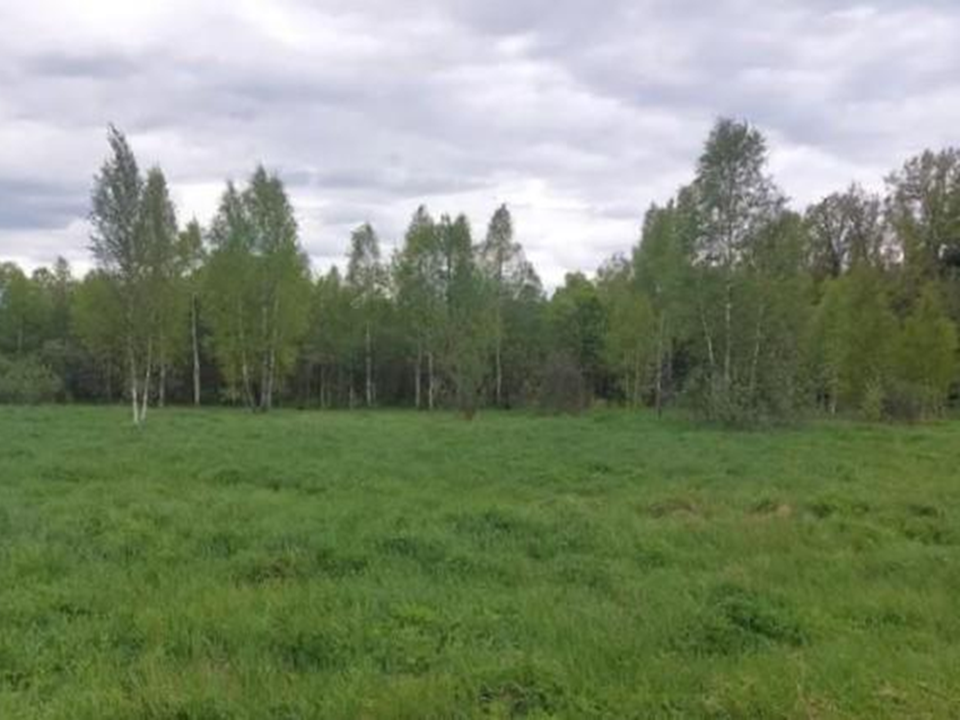 Наро-Фоминский и Рузский округа предложили больше всего лотов на земельных торгах