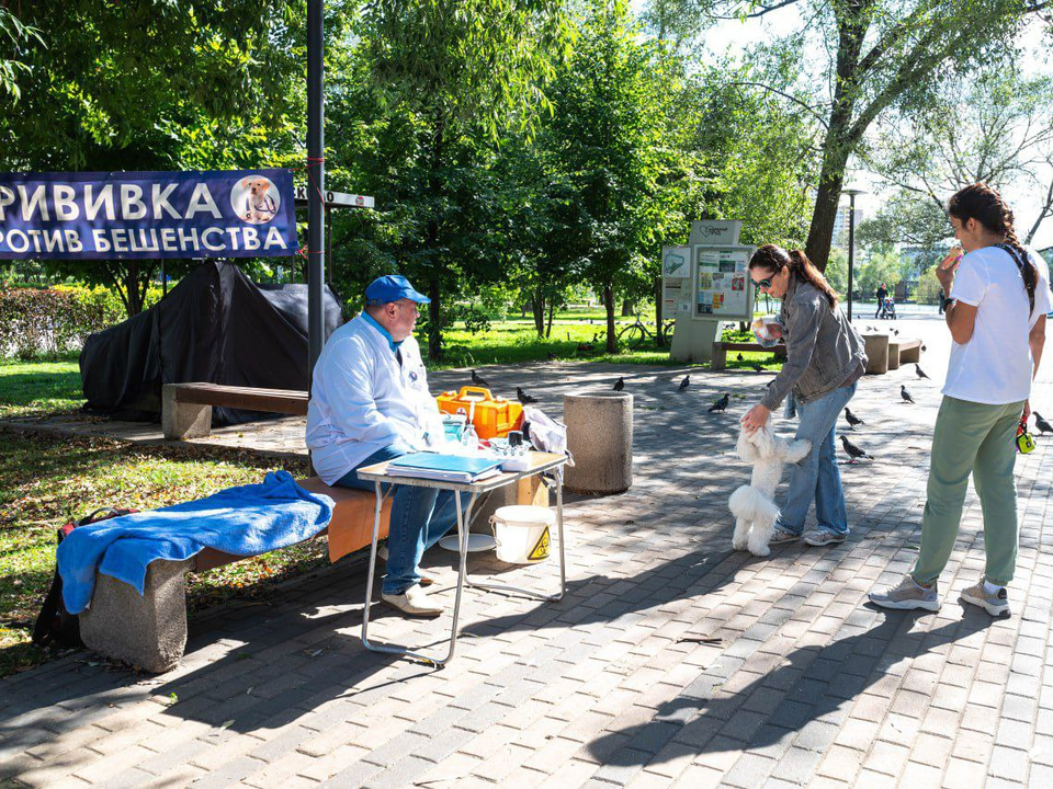 Специалисты рассказали об опасности смертельного вируса