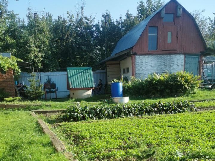 Дачная амнистия поможет узаконить дом или участок всего по трем документам