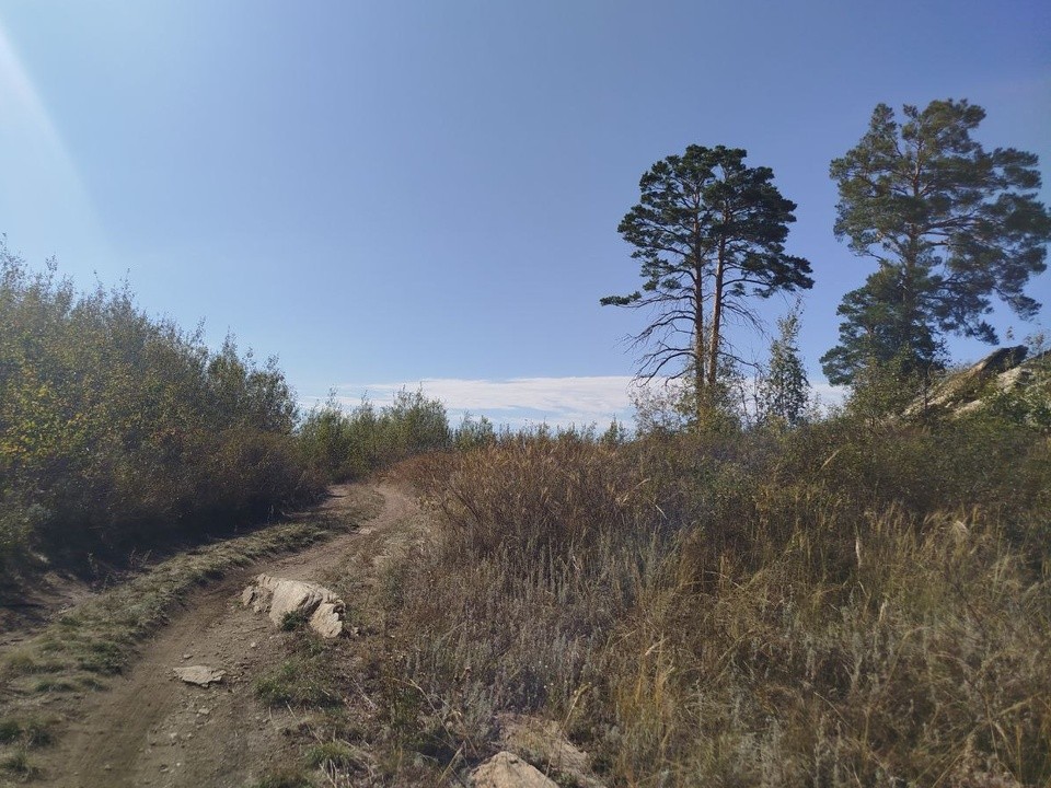 Сентябрь в Подмосковье будет теплым и сухим: температура не упадет ниже +20 градусов