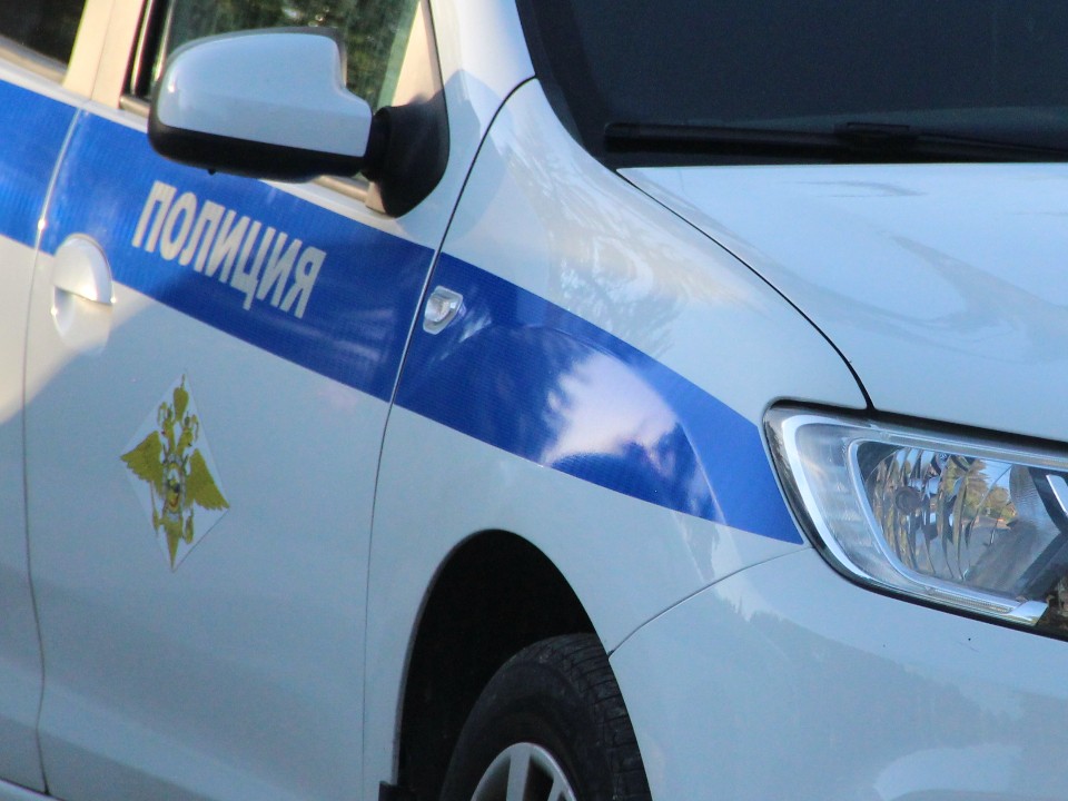 Дорожные полицейские выясняют, почему у Барынина машина улетела в кювет