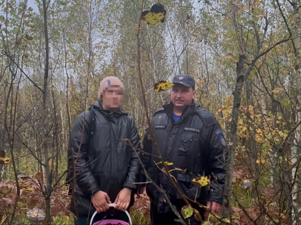 Спасатели разыскали женщину, заблудившуюся в лесу под Павловским Посадом