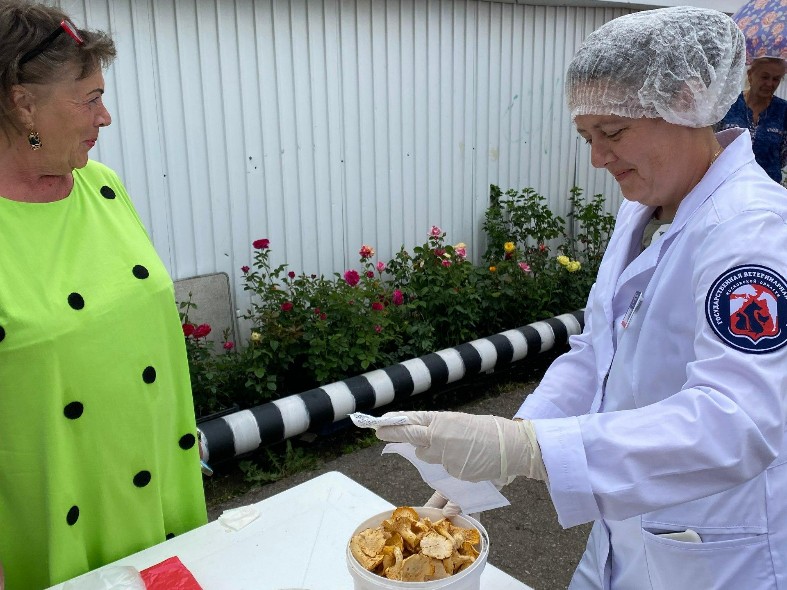 Исследование дикорастущих грибов провели в Подмосковье