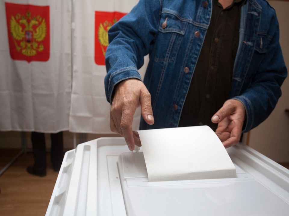 В Пушкино откроют избирательный участок для жителей Курской области на выборах губернатора