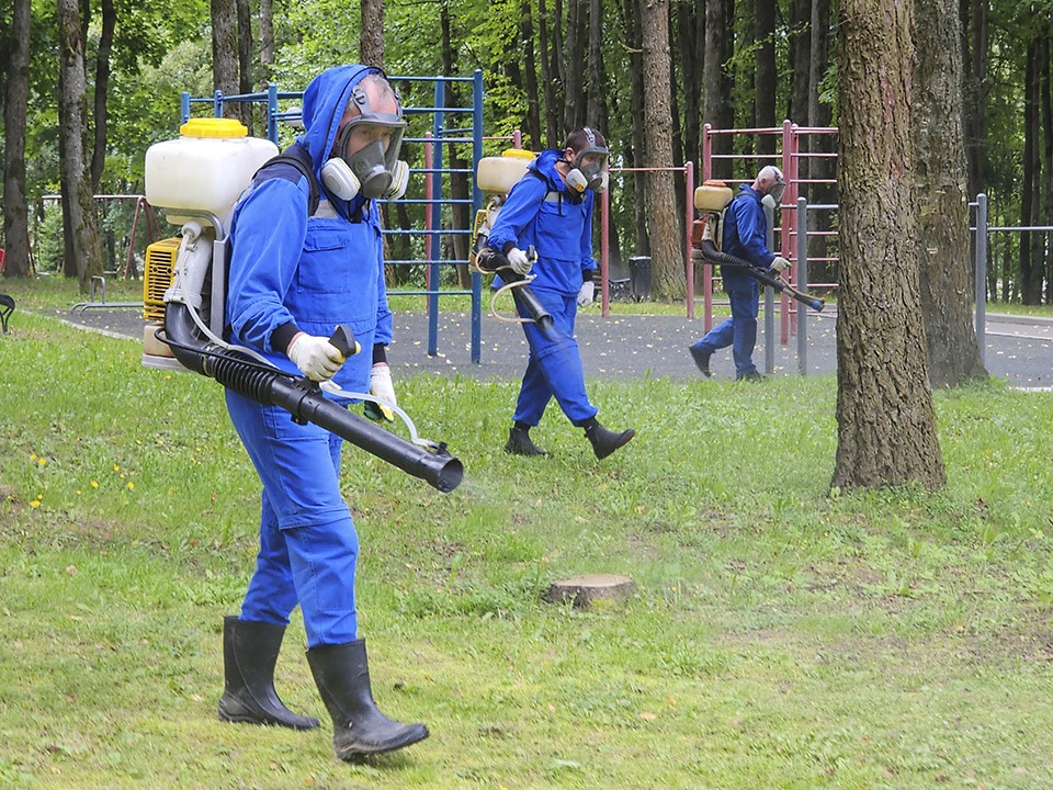 Нанесут удар по клещам: парки закроют на дезинсекцию