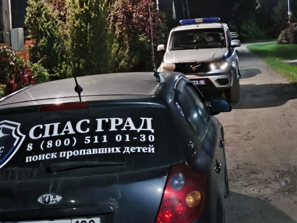 В Раменском 74-летняя бабушка ушла в лес и не вернулась