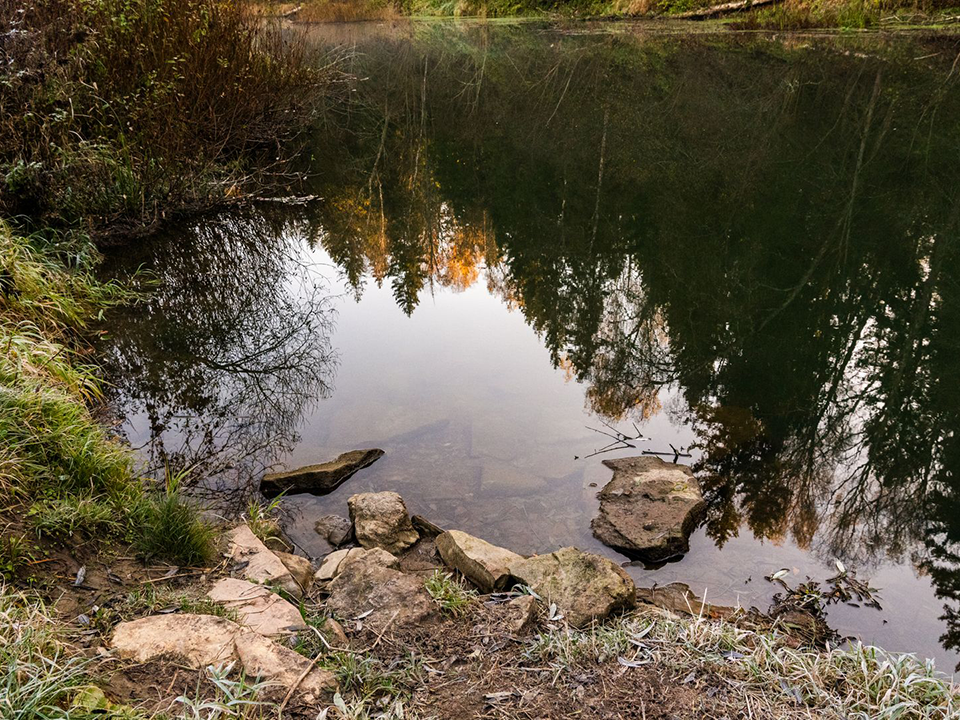 В Ивантеевке начали расчищать реку Скалба по просьбе жителей