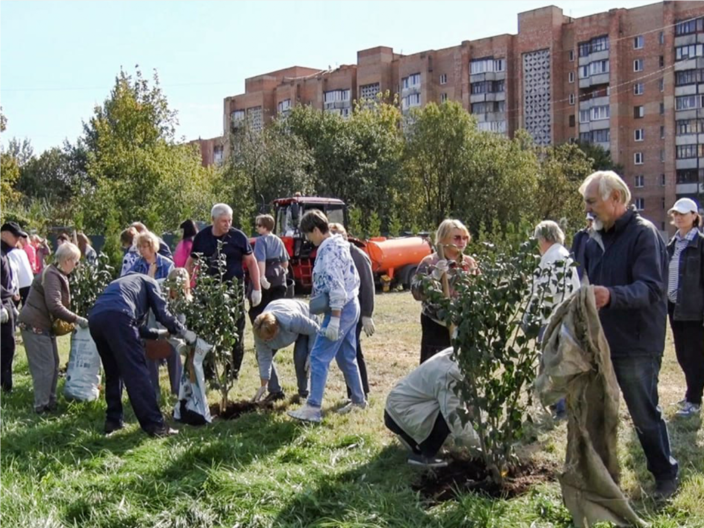 Кусты сирени и гортензии высадили в сквере имени Саввы Золотухи