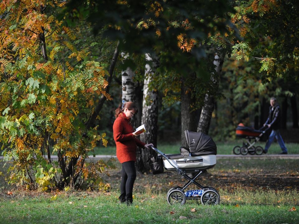 До +15°C и без дождей ожидается в пятницу