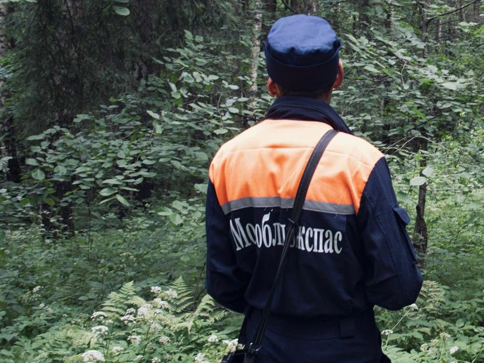 Спасатели нашли заблудившегося мужчину в лесу округа Чехов