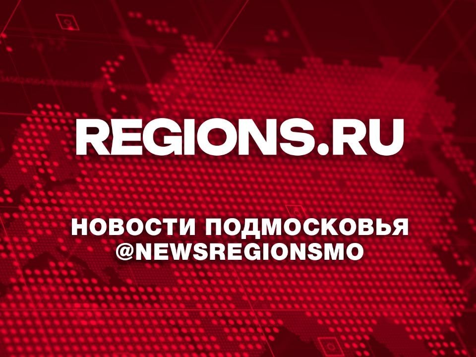 Паукообразную обезьяну перевезли через аэропорт в Московском регионе