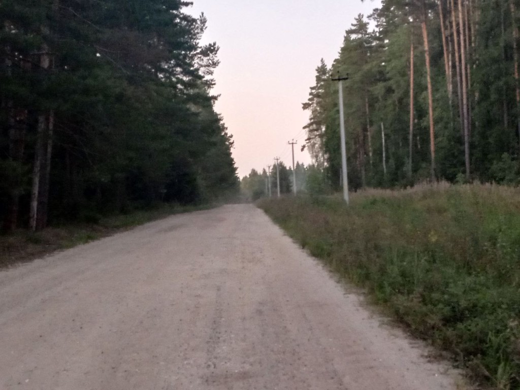 Туман ограничит видимость на дорогах Егорьевска в ночь 8 сентября