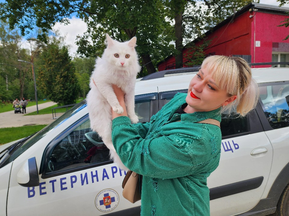 Выездная вакцинация домашних животных пройдет в двух населенных пунктах округа