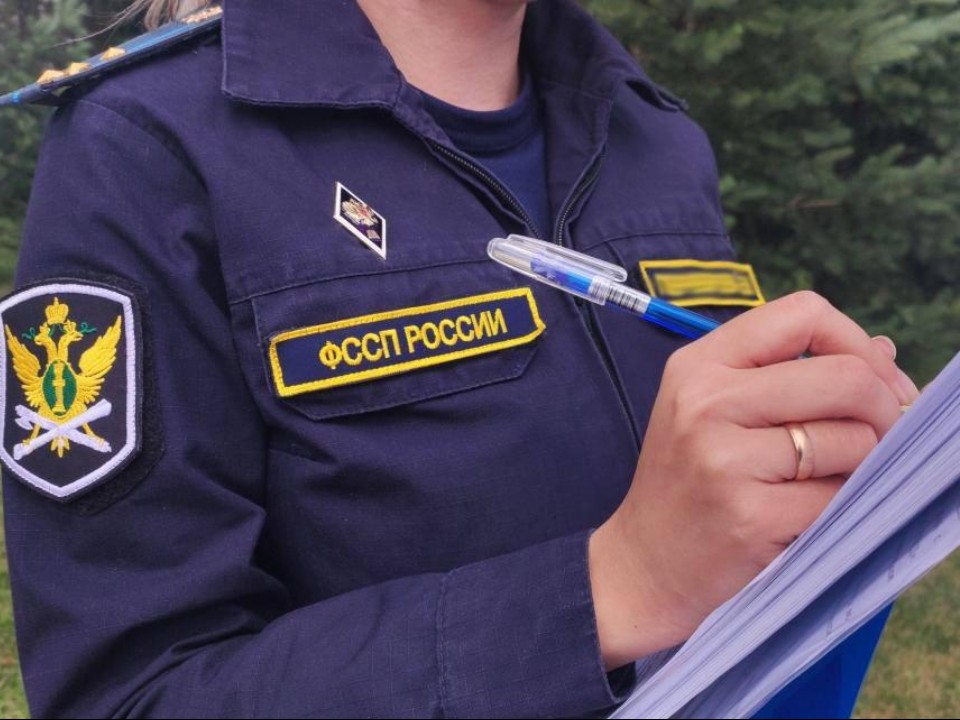 Самые резонансные случаи взыскания долгов судебными приставами