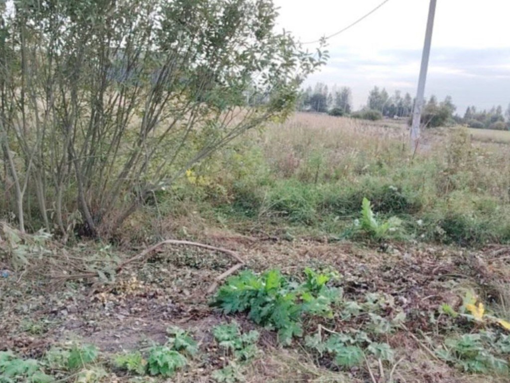 В Юркино по просьбам жителей убрали растительный мусор вдоль дороги