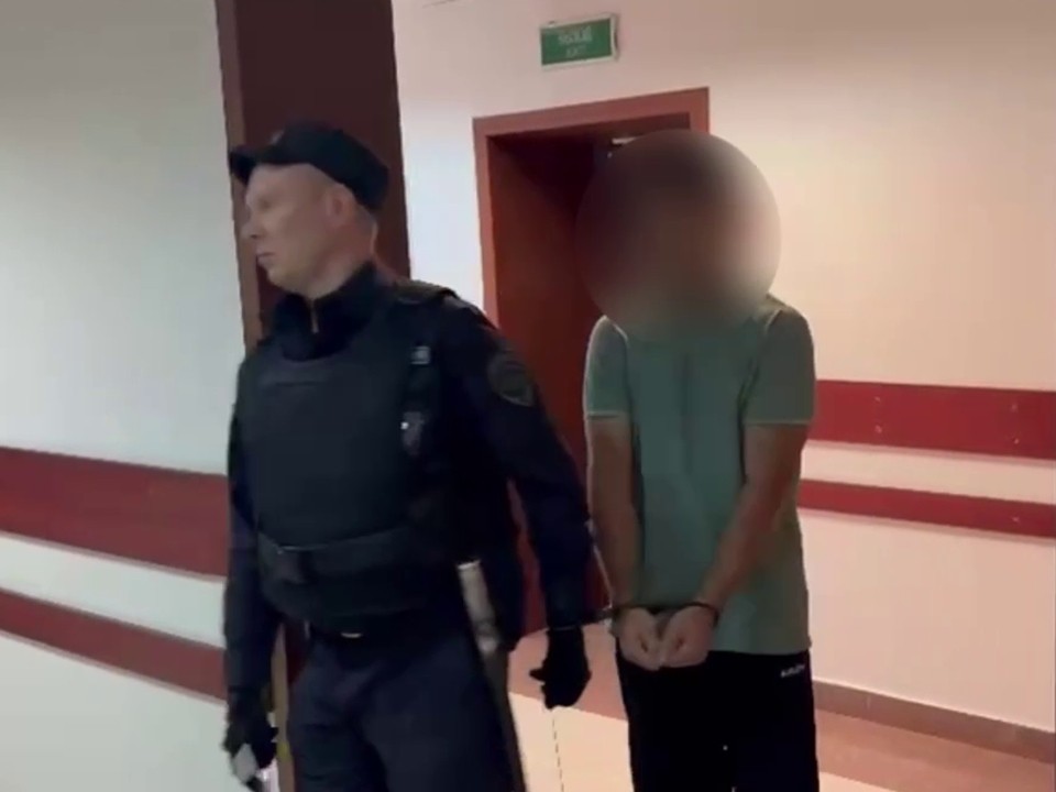 Напавший на полицейского мужчина арестован в Щелкове