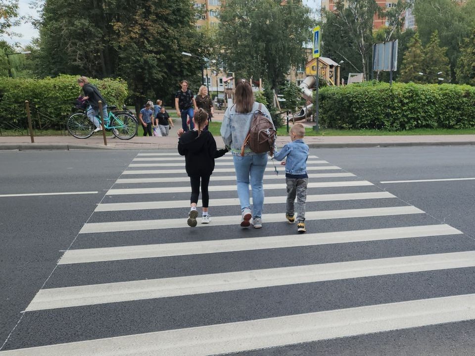 В полиции посчитали пешеходов-нарушителей в Подмосковье