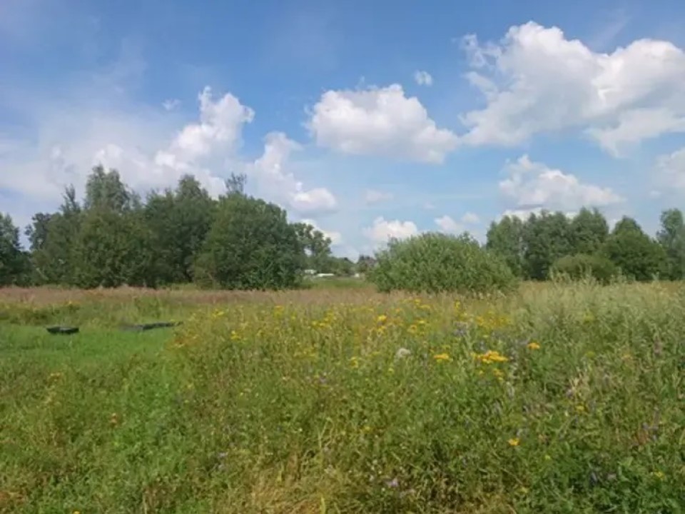 Топ-3 округов Подмосковья, где прямо сейчас можно найти лучшие земельные лоты