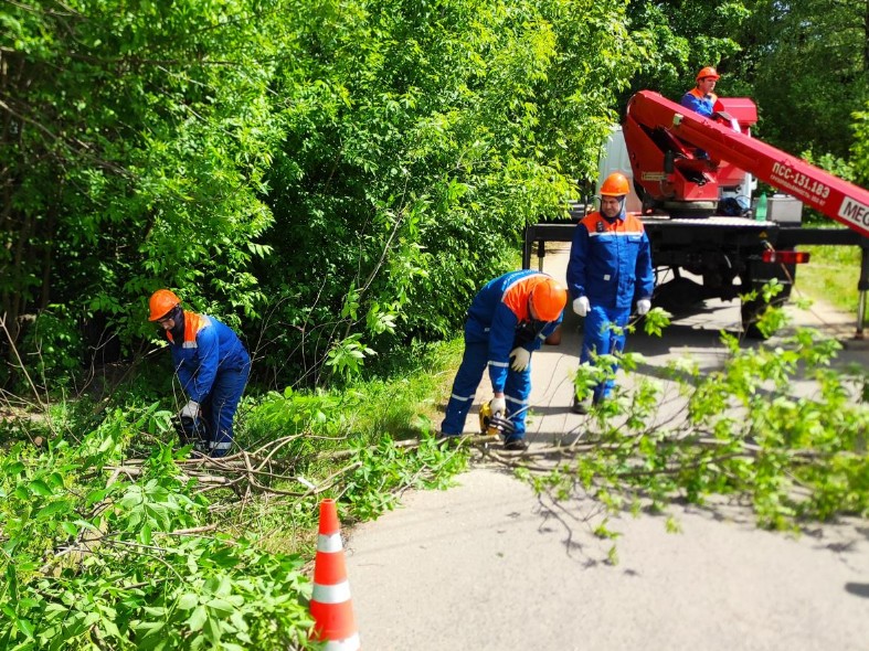 В Подмосковье убрали от ЛЭП растительность