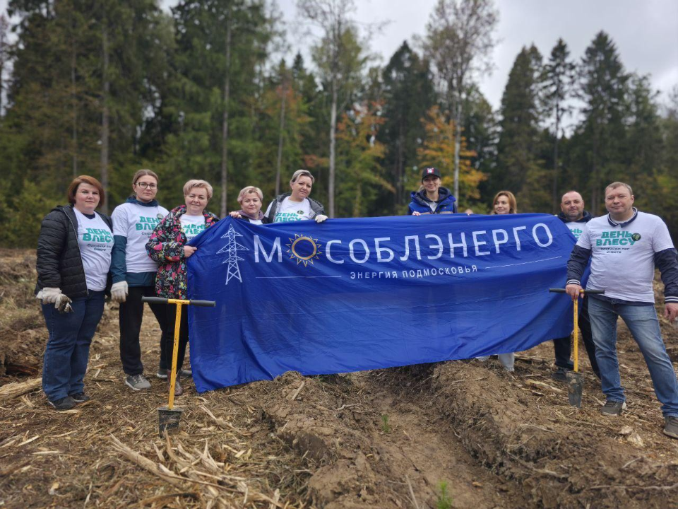 Жители Подмосковья могут бесплатно посадить дерево в рамках акции «Сохраним лес»