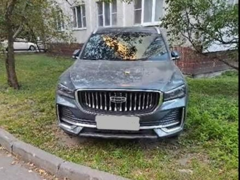 В Подмосковье народные инспекторы зафиксировали случаи парковки на газоне