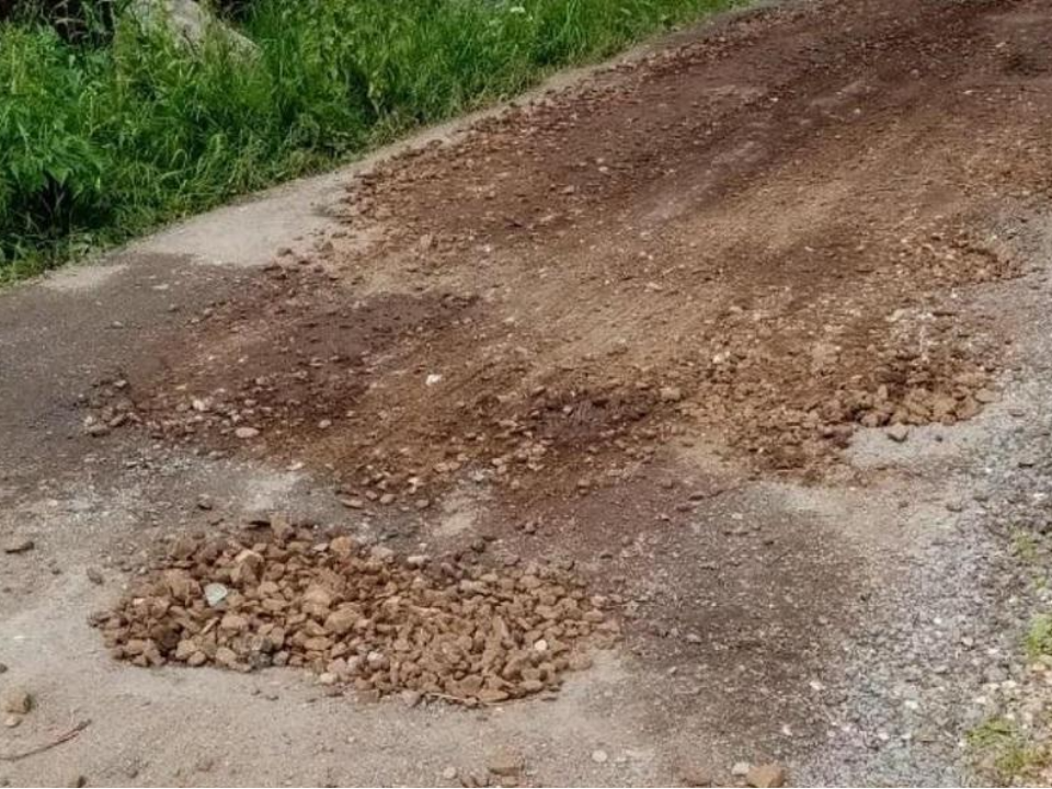 Владельцам садовых участков указали на недопустимость захламления территорий