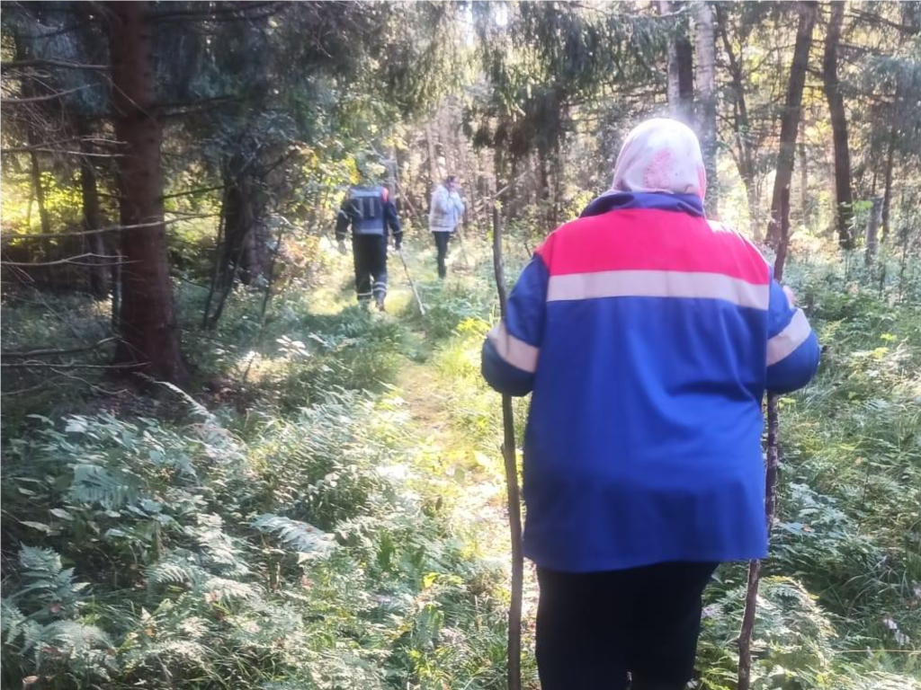 Спасатели нашли в лесу Дмитровского округа двух заблудившихся пенсионерок