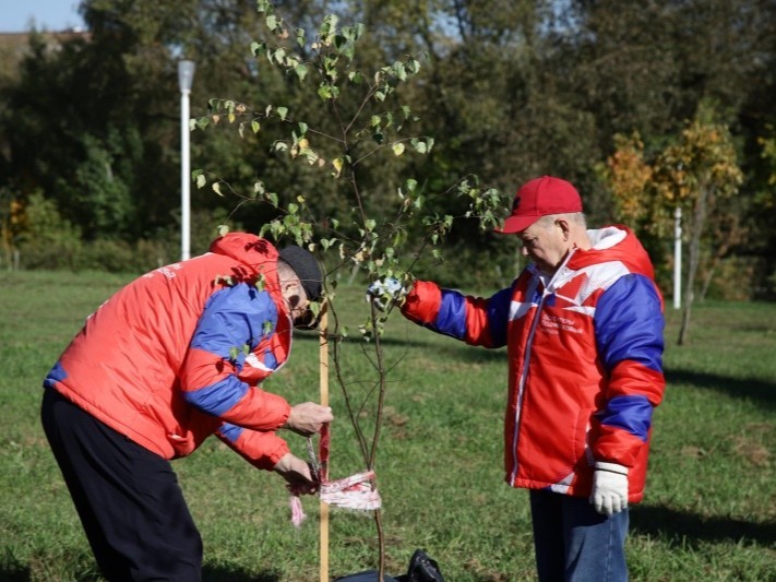 Жители Воскресенска высадили  5,5 гектаров рябины и ольхи в Новлянской ривьере