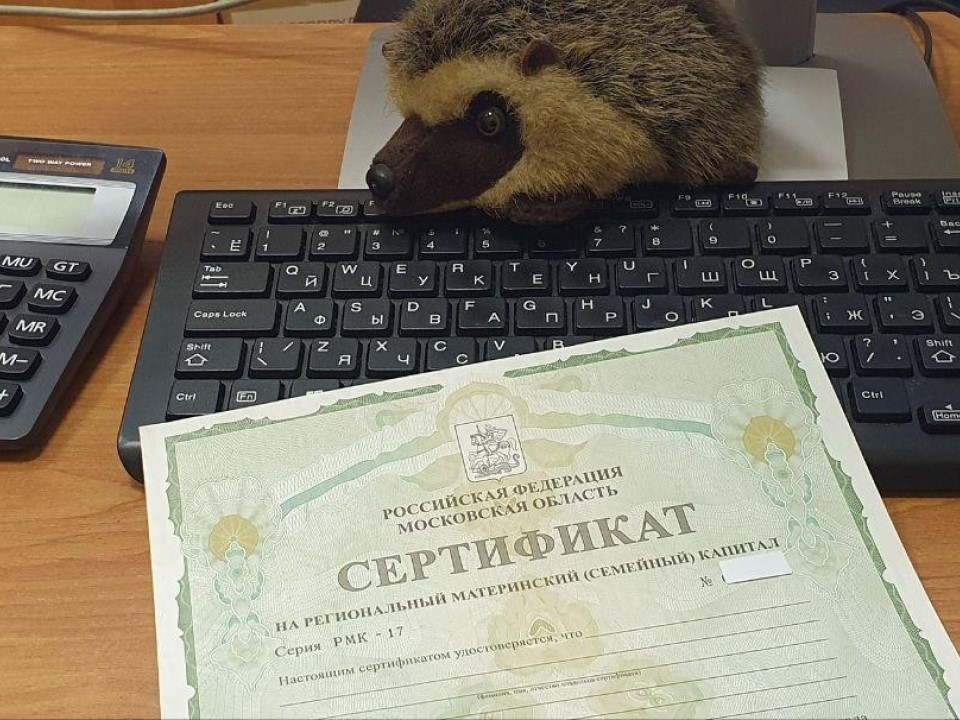 Щелковские семьи инвестируют в образование детей через материнский капитал