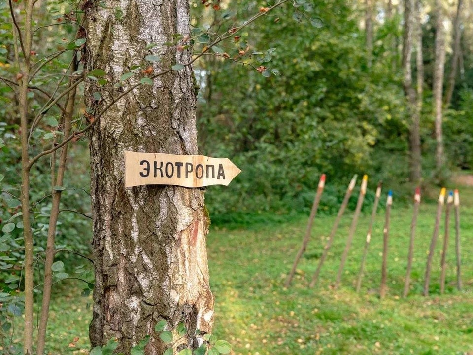Четыре причины отправиться на эко-тропу в Гальчино