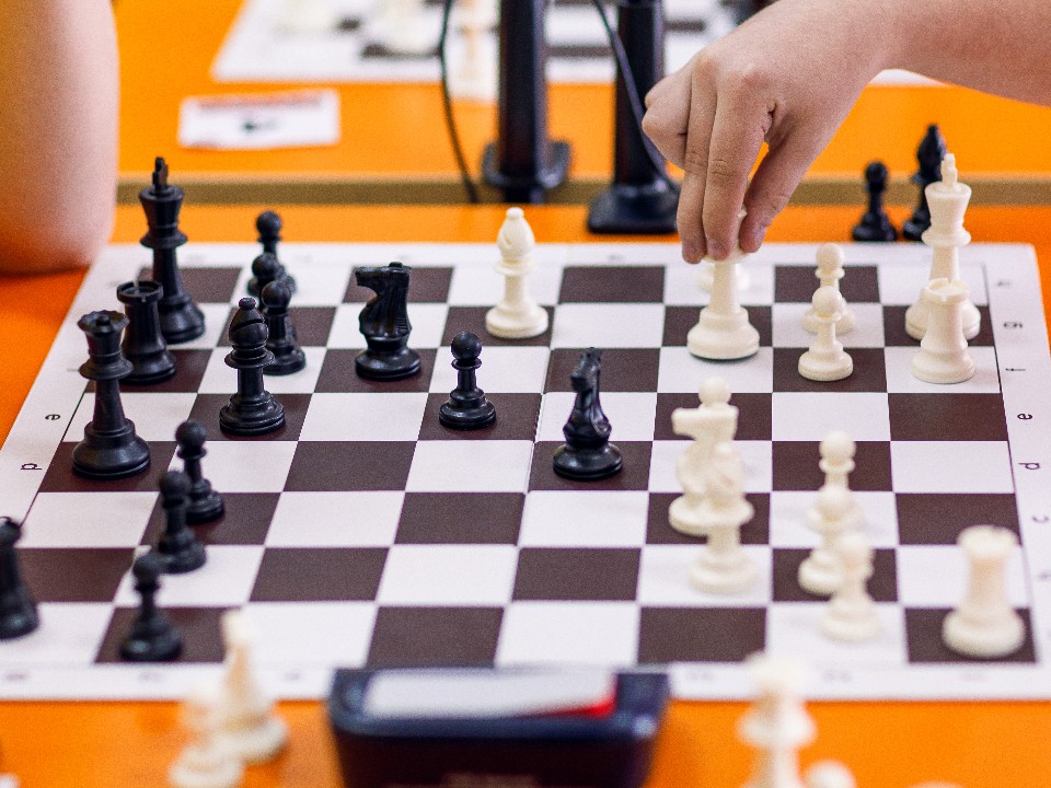 Двух подмосковных шахматистов пригласили на соревнования Кубка мира