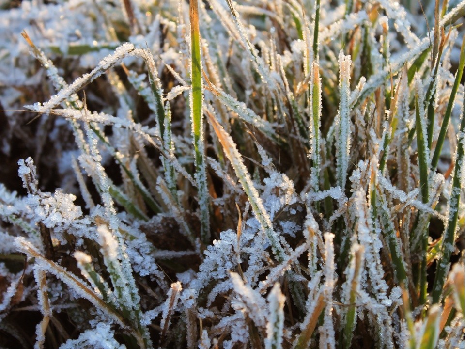 Первые осенние заморозки ударили в Клину