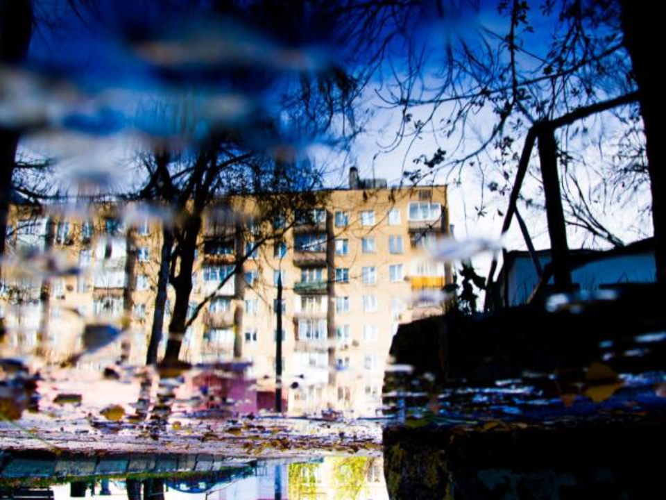 В Подмосковье в эти дни температура опустится до +1° и пойдет мокрый снег