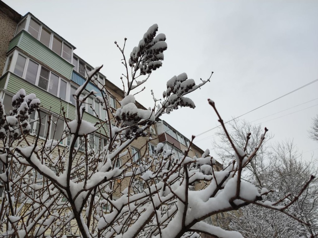 Тепло задержится в Подмосковье на этот период, затем похолодает до зимних значений
