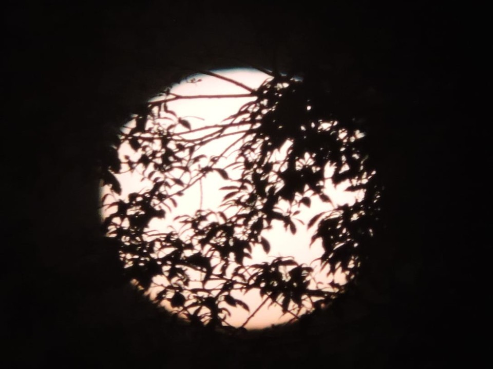 Почему запрещено смотреть на Солнце в день «Затмения Равноденствия» 21 сентября