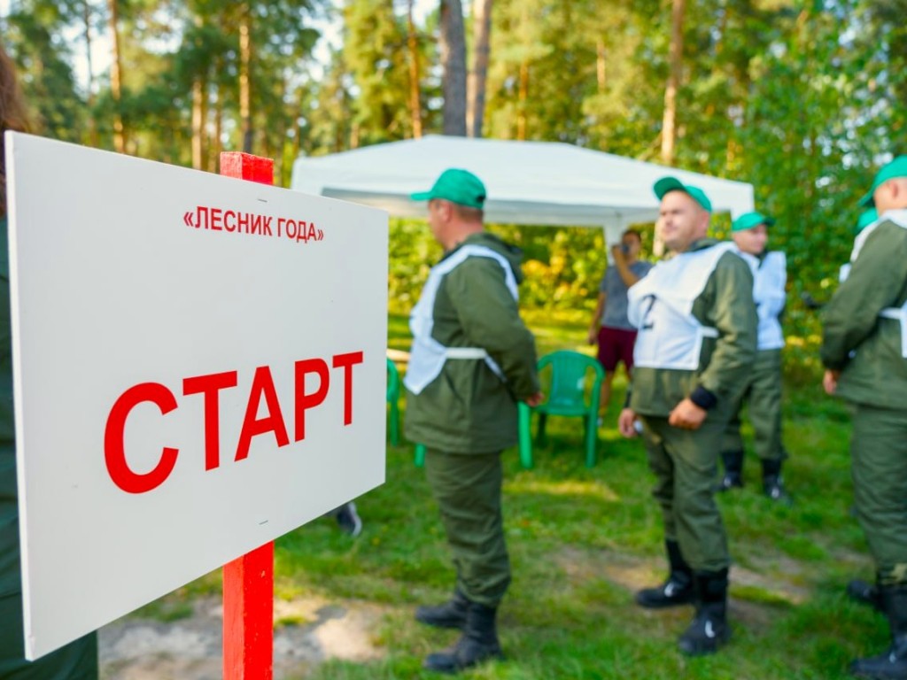 Лучшего лесника года выберут на смотре-конкурсе в Воскресенске